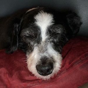 Meet your Posher, Nick